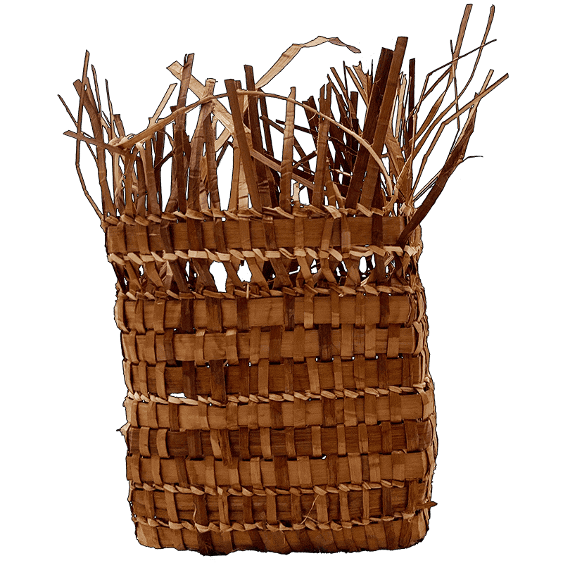 woven cedar basket in progress